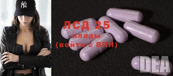соль ск Липки