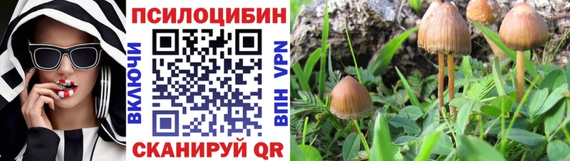 купить цена сайты даркнета наркотические препараты Псилоцибиновые грибы Magic Shrooms Сосенский